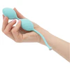 Pillow Talk Frisky - Kegel Balls - Teal