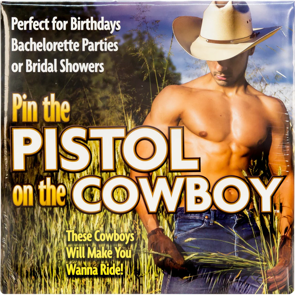 Little Genie Pin The Pistol On The Cowboy Game