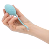 Pillow Talk Frisky - Kegel Balls - Teal