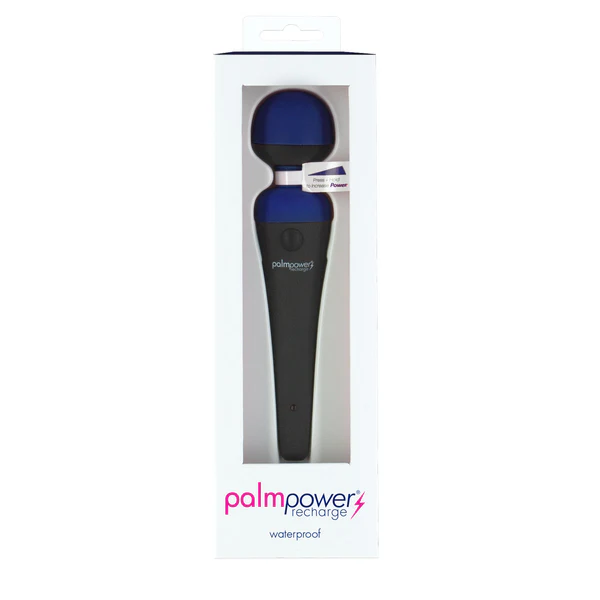 PalmPower® Recharge Massage Wand – Blue