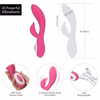 Wonderlust Harmony - Pink